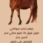 ذيايح سواكني