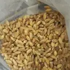 حب بر الصمعا وشعير بلدي التوصيل إلى الطايف يوم في الأسبوع