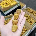 سكري فاخر