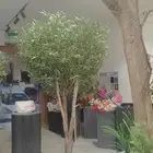اشجار زيتون صناعي