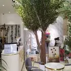 زيتون صناعي