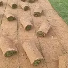 ثيل طبيعي C2000