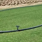 نجيله طبيعي