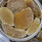 عسل سدر بلدي