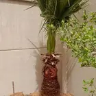 تركيب وترتيب العشبه الصناعي والطبيعي