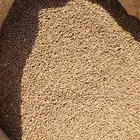 قطن للبيع للتواصل واتساب أو انتصال على رقم ذا