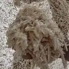 نشارة خشب للبيع تستخدم للخيل والدواجن