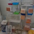 للبيع اقفاص مستعمله نظيفة