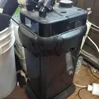 فلتر دوفين