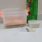 مستلزمات الطيور