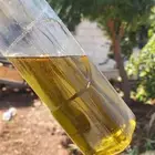 زين زيتون طيب وجودة