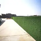 تنفيذ شبوك وزراعه نخيل