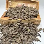 عود تايقر فتنامي