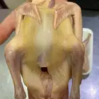 فروخ حمام زغاليل فرنسي فراخه طعم ولحم وشحم