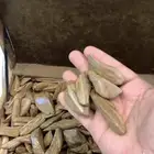 مروكي شبيه الطبيعي تصفية على آخر الكمية