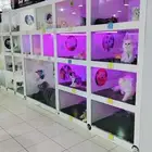 فندقه خمسه نجوم يستحق حيوانك الاليف الراحه التامه