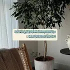 مطلوب عماره شقتين في جده بحدود 800الف