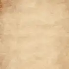 لدي مشتل واحتاج شخص معاي