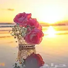 ديزاير للبيع مديلات 23   24   العدد 100 حبه