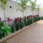 تنسيق الحدائق العامه والخاصه