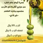 زيت زيتون أردني أصلي