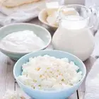 كفير الماده الاكثر صحيه بكتيريا النافعه الفطر الهندي