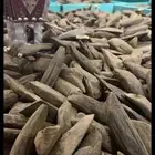 مروكي دبل سوبر نخب اول