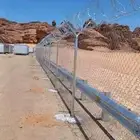 مقاول شبوك وتوريد جميع أنواع النخيل