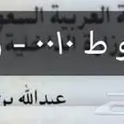 لوحة 10