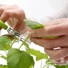 مظلات جلسات خارجية المدينة المنورة