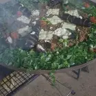 معلم مشويات مشاوي شوي