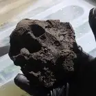 تربة طينية