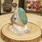 فيروز نيشابوري راهي .. صياغة شاكري