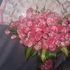 تنسيق وتوصيل ورور وهدايا جميع أحيا الرياض نسعد بخدمتكم