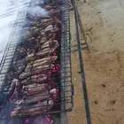 معلم مشويات مشاوي شوي