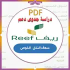 دراسه جدوى ريف للخوص والحصير