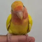 روز نص اليف ومايعض لكن فيه خوف
