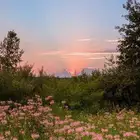مطلوب شقه للإيجار