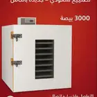 فقاسة للبيع
