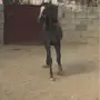 مهره شعبيه جميله
