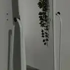مرآه متحركه بعنيزه