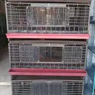 بطاريات دجاج وبط وحمام بلاستيك