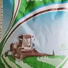 بذور برسيم ك 101 امريكي