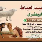 دكتور بيطري خبرة في الكشف بالسونار وتشخيص وعلاج أمراض الحلال