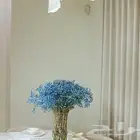تصوير احترافي للشقق والفنادق وشقق التاجير اليومي