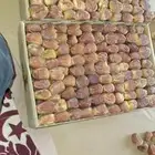 عمال الخراف والصرام التمر جميع مناطق المملكة