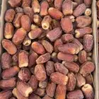 يوجد لدينا جميع انواع النخيل المثمره وجميع المقاسات المختلفة