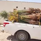 السلام عليكم ورحمه الله وبركاته عندنا نخل طيب متواجد في مكه