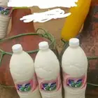 سمن بقر بلدي مضمون