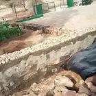 بنيان سدود حجر بنا جدران